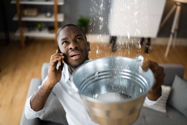 Best Ceiling water damage repair  in Glasgow, MT