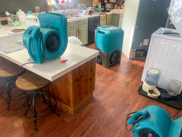 Best Emergency water damage restoration  in Glasgow, MT