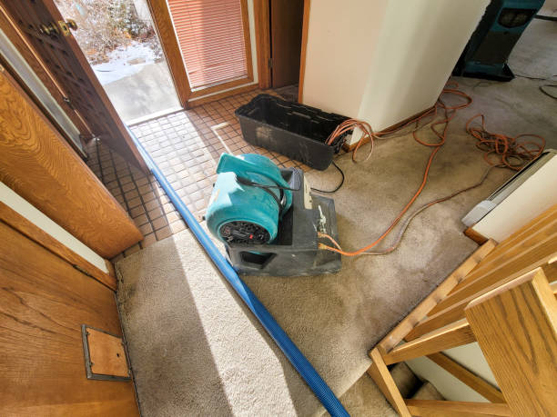 Best Water damage restoration insurance claims  in Glasgow, MT