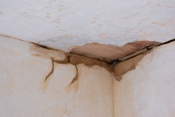 Best Water damage contractors near me  in Glasgow, MT