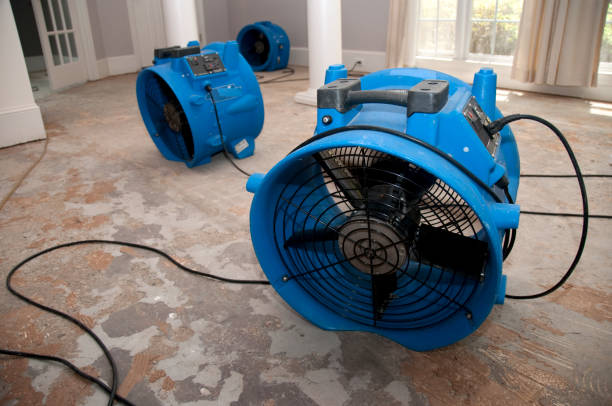 Best Mold removal after water damage  in Glasgow, MT
