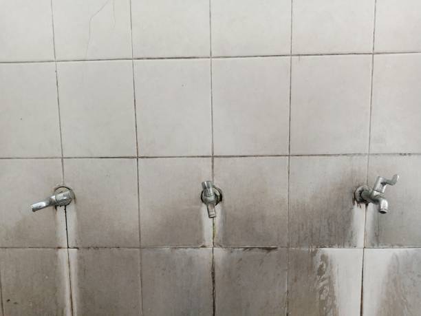 Best Commercial water damage restoration  in Glasgow, MT