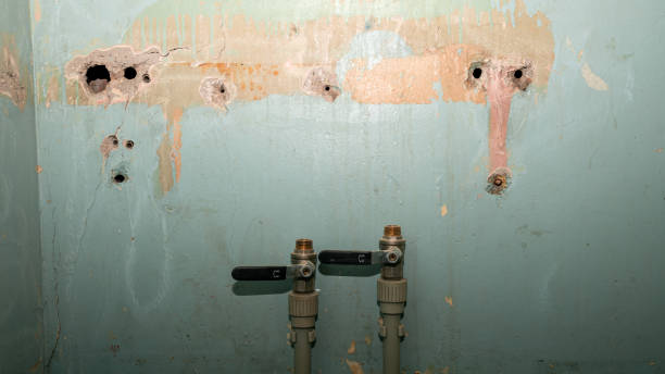 Best Water damage cleanup near me  in Glasgow, MT