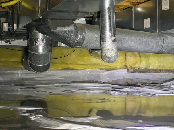 Reliable Glasgow, MT Water damage restoration Solutions