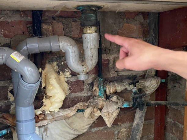 Best Mold removal after water damage  in Glasgow, MT