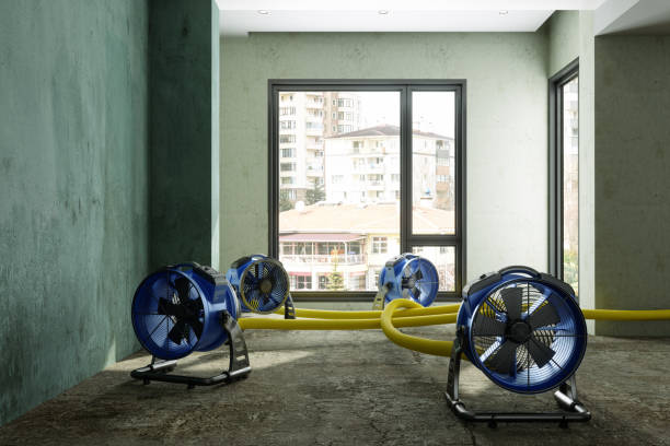 Best Flood restoration services  in Glasgow, MT