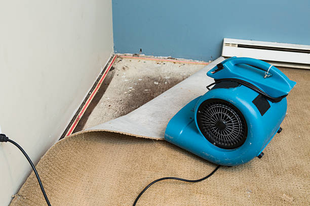 Best Professional water damage repair  in Glasgow, MT